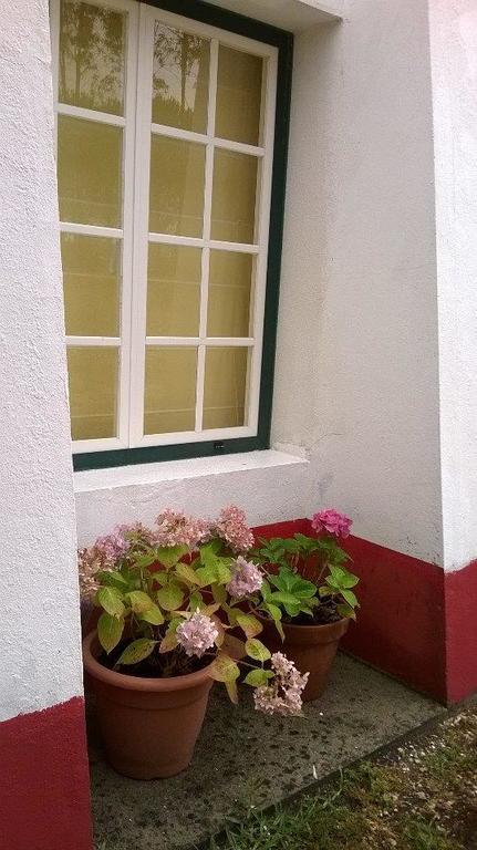 Monte Da Tojeirinha Guest House มอนตาจิล ภายนอก รูปภาพ